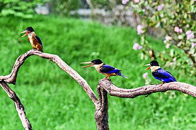 《GTA6》将搭建现实音乐家电台 甚至包括人气RAP歌手首发作品